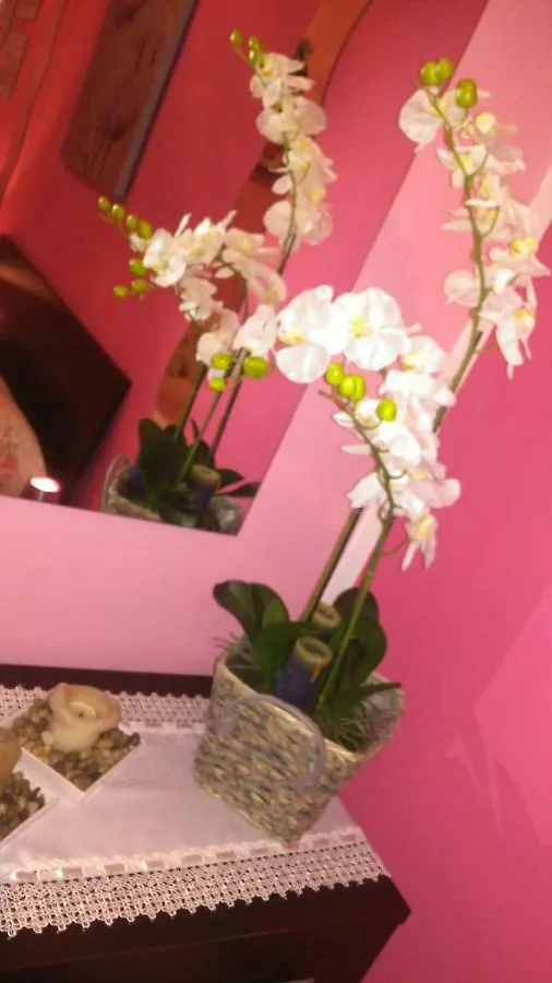 B&B San Vitale Bologna